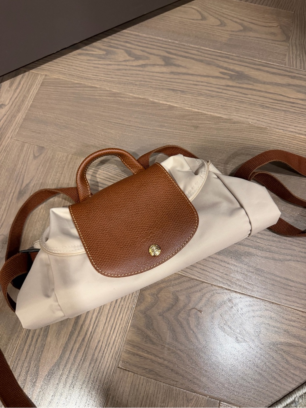 Long Champ Classic Beige and Brown Backpack - Timeless Everyday Style
